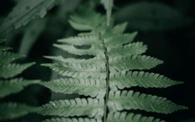 福州心理医生.jpg 福州心理医生.jpg