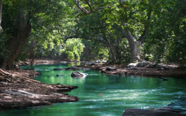 青少年心里辅导.jpg 青少年心里辅导.jpg